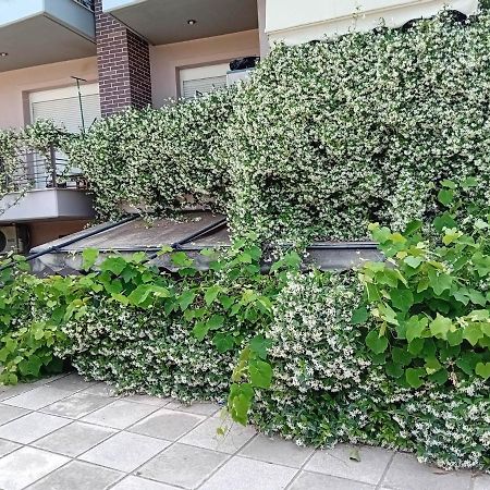 Stella'S Jasmine Apartment Salonic Exterior foto